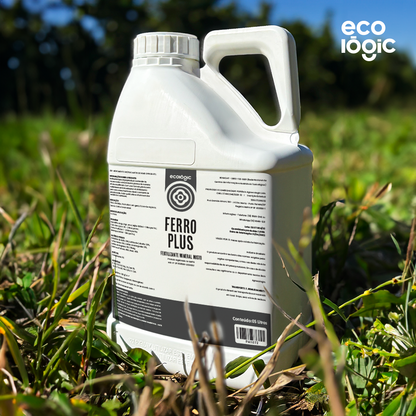 Ferro Plus