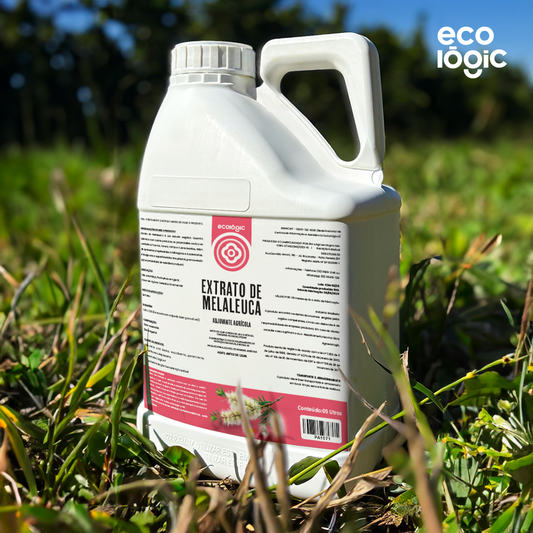 Extrato de Melaleuca