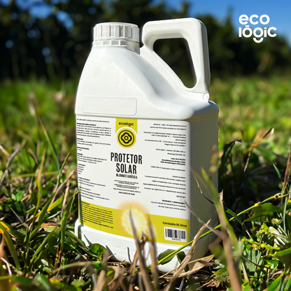 Protetor Solar